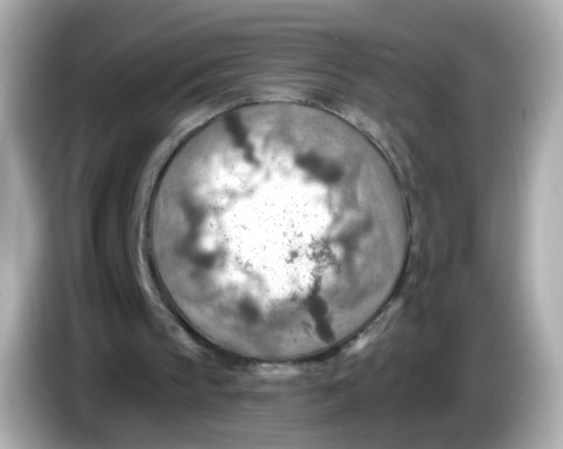 X0000085800145200704091455