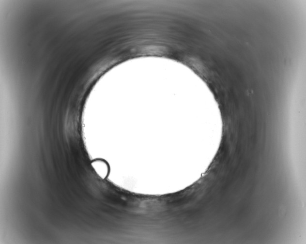 X0000085800146200704091455