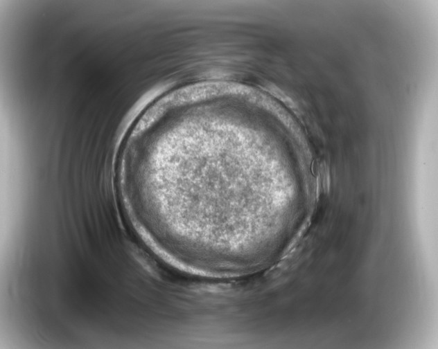 X0000085800147200704091455