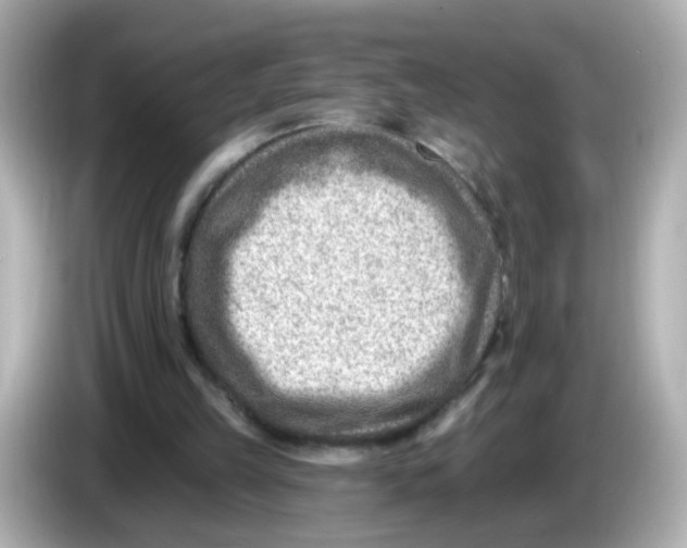 X0000085800149200704091455