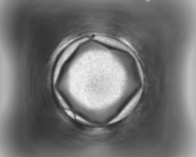 X0000085800151200704091455