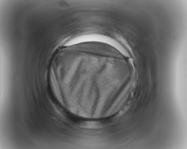 X0000085800154200704091455