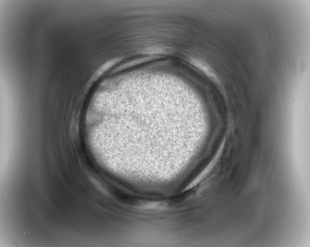 X0000085800155200704091455