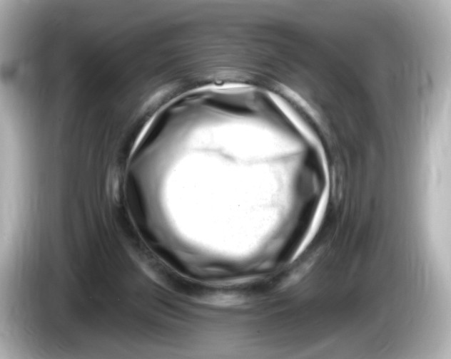 X0000085800157200704091455