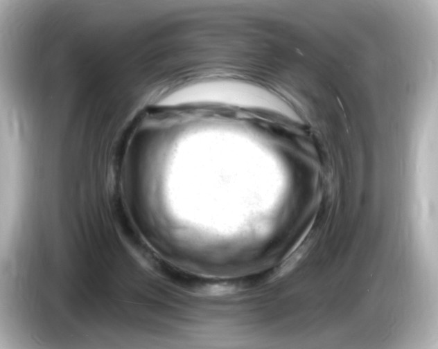 X0000085800158200704091455