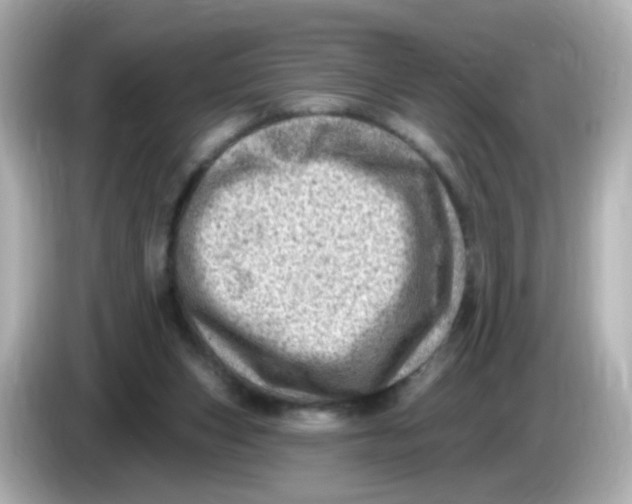 X0000085800159200704091455