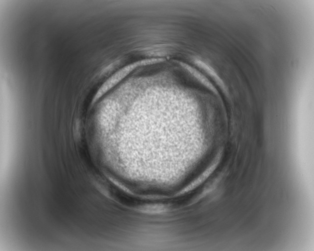 X0000085800161200704091455