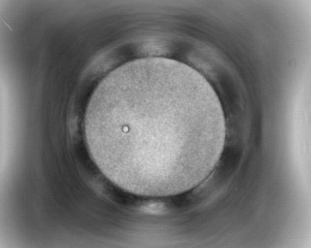 X0000085800162200704091455