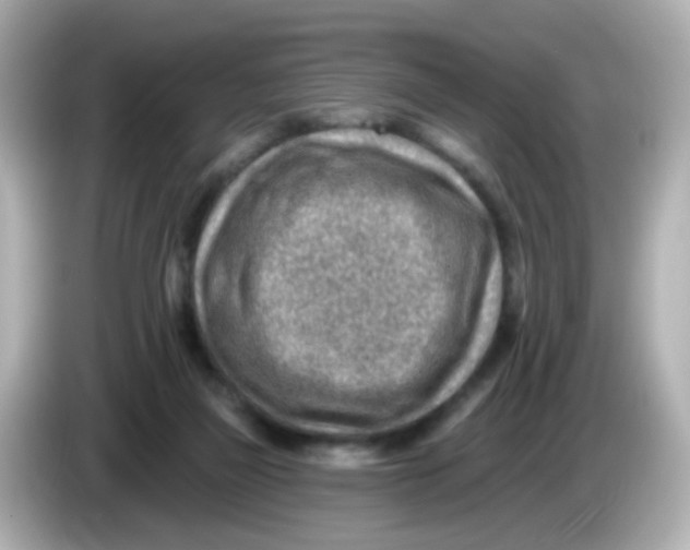 X0000085800165200704091455