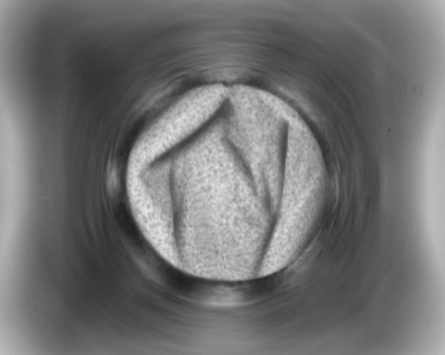 X0000085800166200704091455