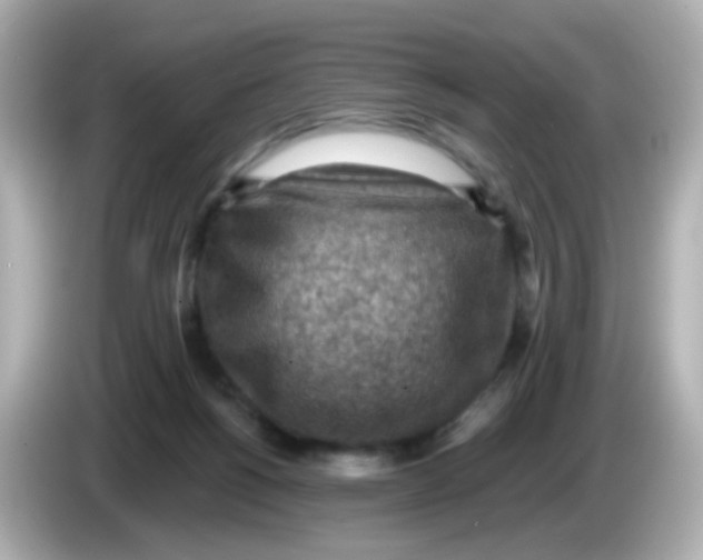 X0000085800168200704091455