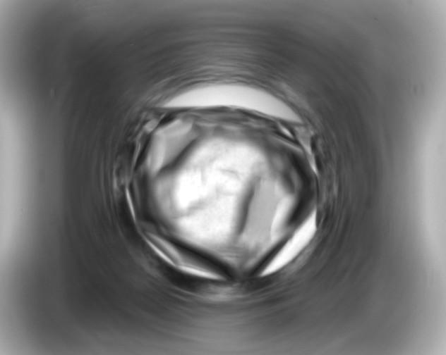 X0000085800170200704091455