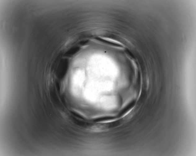 X0000085800172200704091455