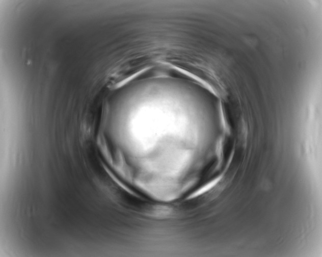 X0000085800176200704091455