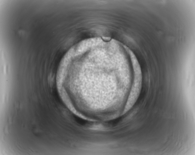 X0000085800177200704091455