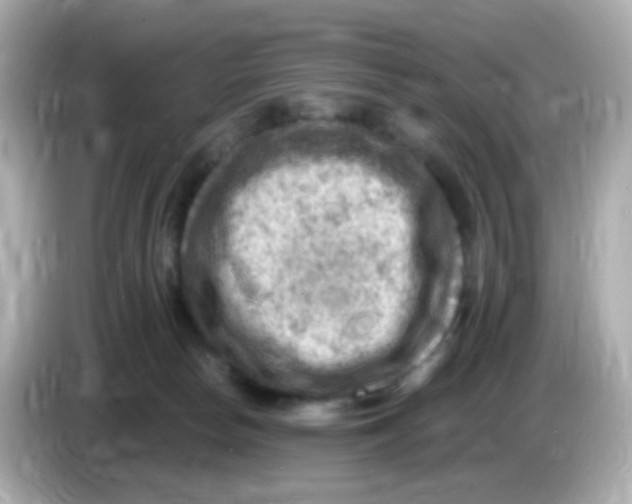 X0000085800178200704091455