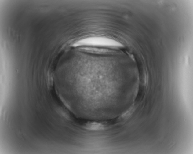 X0000085800180200704091455