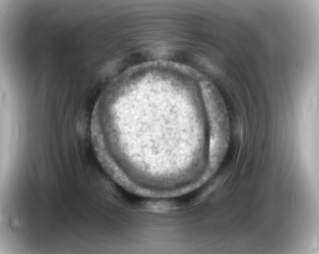 X0000085800181200704091455