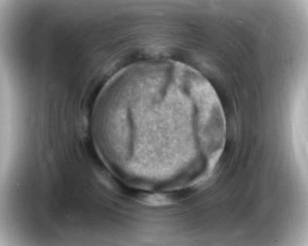 X0000085800183200704091455