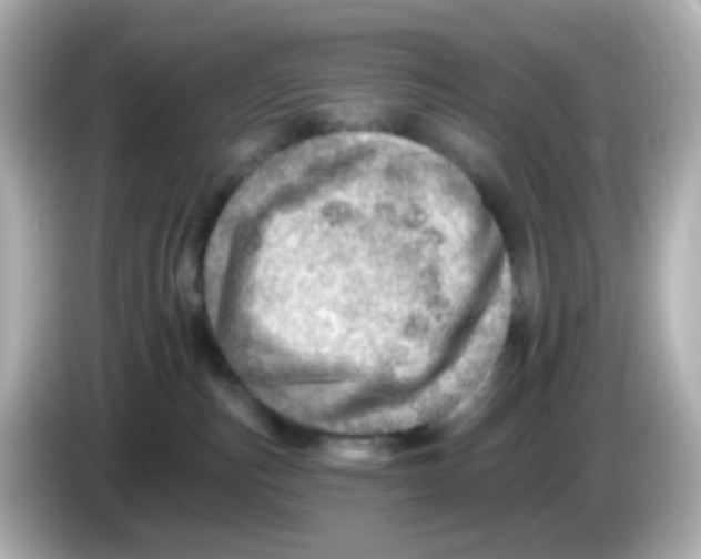 X0000085800187200704091455