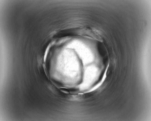 X0000085800188200704091455