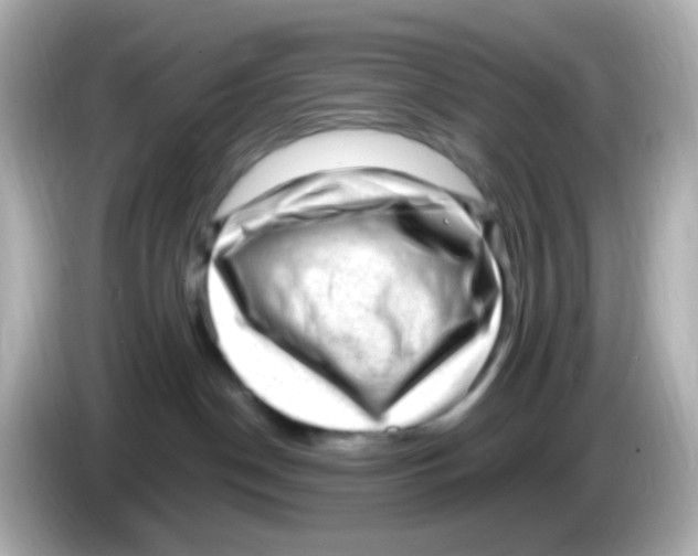 X0000085800190200704091455