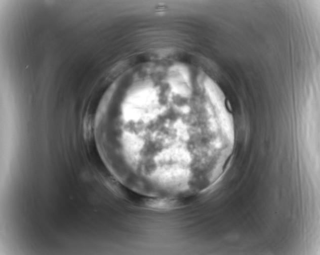 X0000085800191200704091455