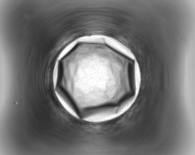 X0000085800194200704091455