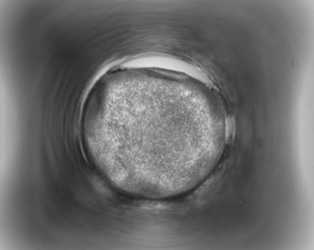 X0000085800195200704091455