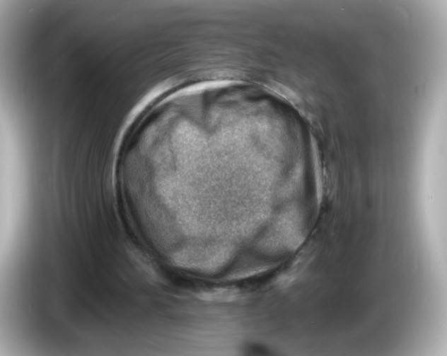 X0000085800196200704091455