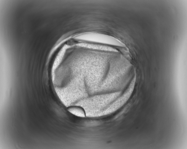 X0000085800198200704091455