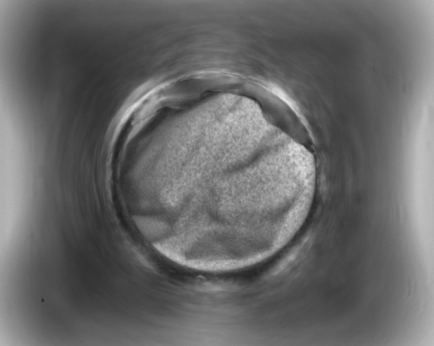 X0000085800199200704091455