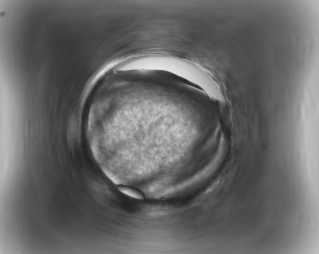 X0000085800200200704091455