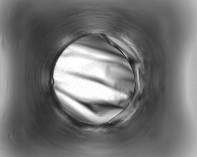 X0000085800201200704091455