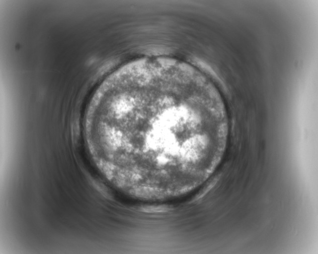 X0000085800202200704091455