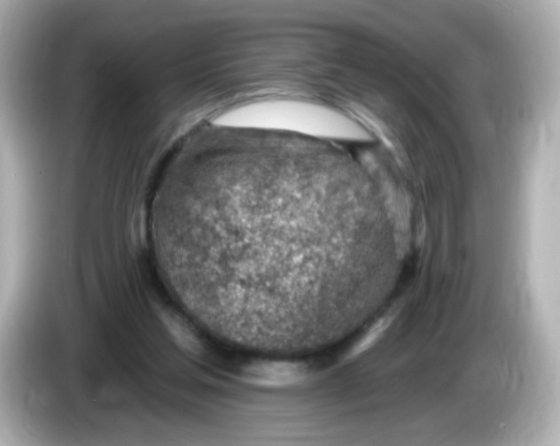 X0000085800205200704091455