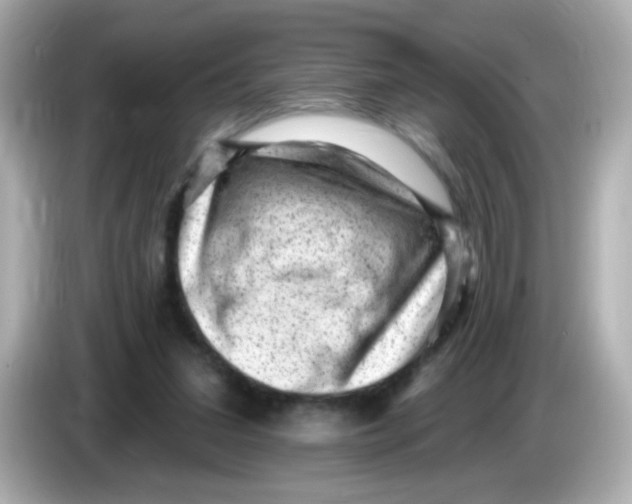 X0000085800207200704091455