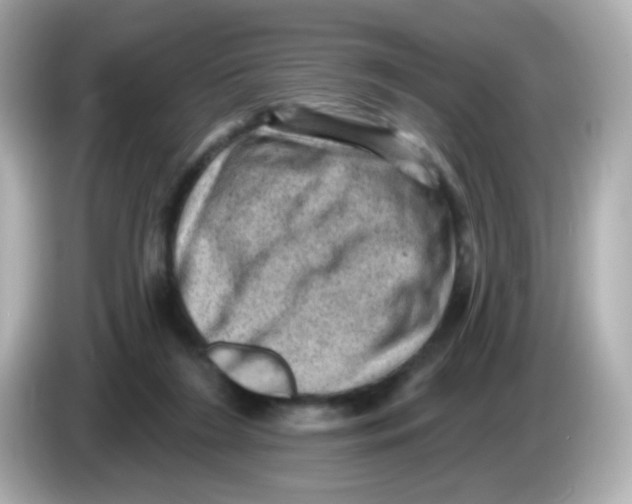 X0000085800212200704091455