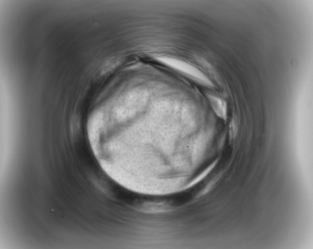 X0000085800213200704091454