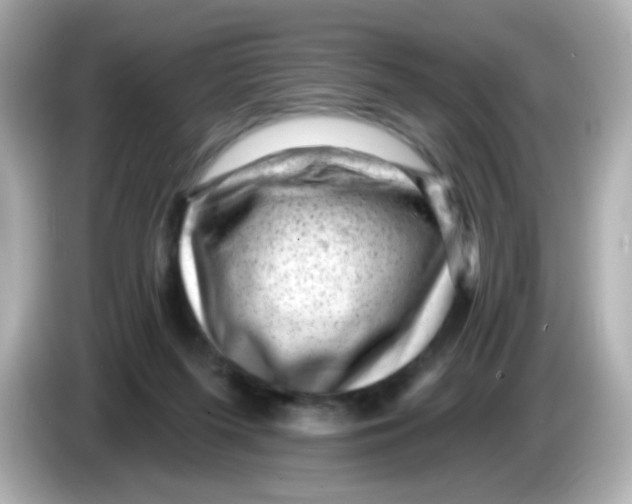 X0000085800215200704091454