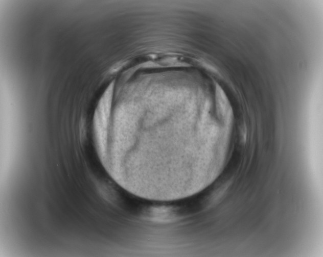 X0000085800216200704091454