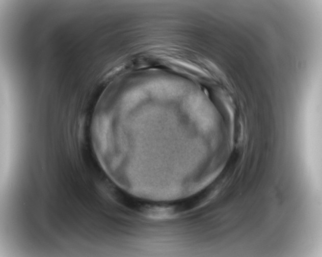 X0000085800217200704091454