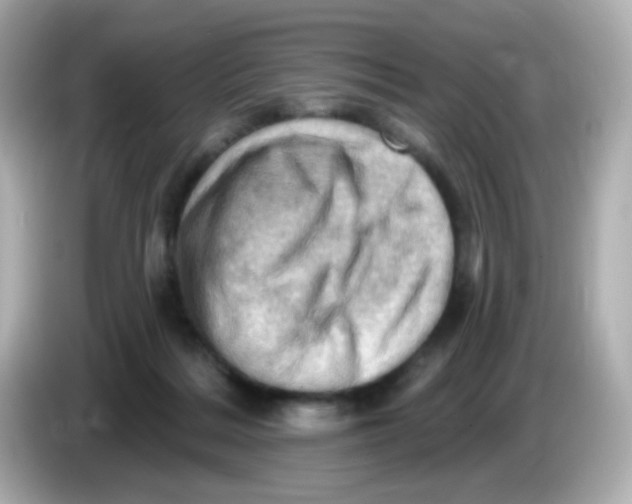 X0000085800220200704091454