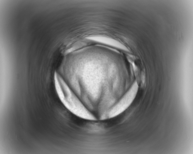 X0000085800221200704091454