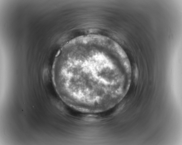 X0000085800222200704091454