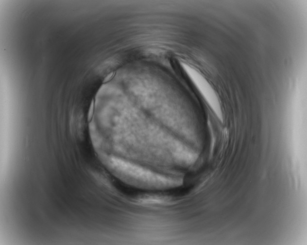 X0000085800223200704091454