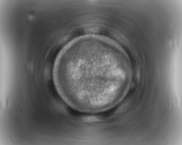 X0000085800224200704091454