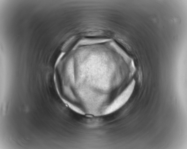 X0000085800225200704091454