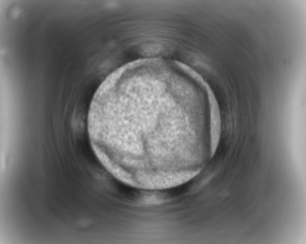 X0000085800226200704091454