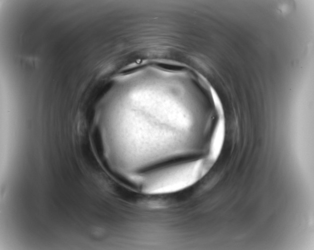 X0000085800228200704091454